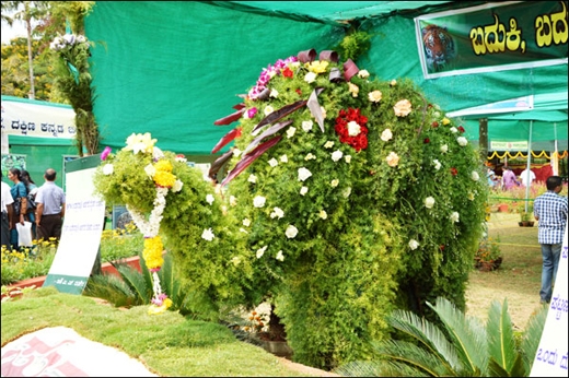 flower show1